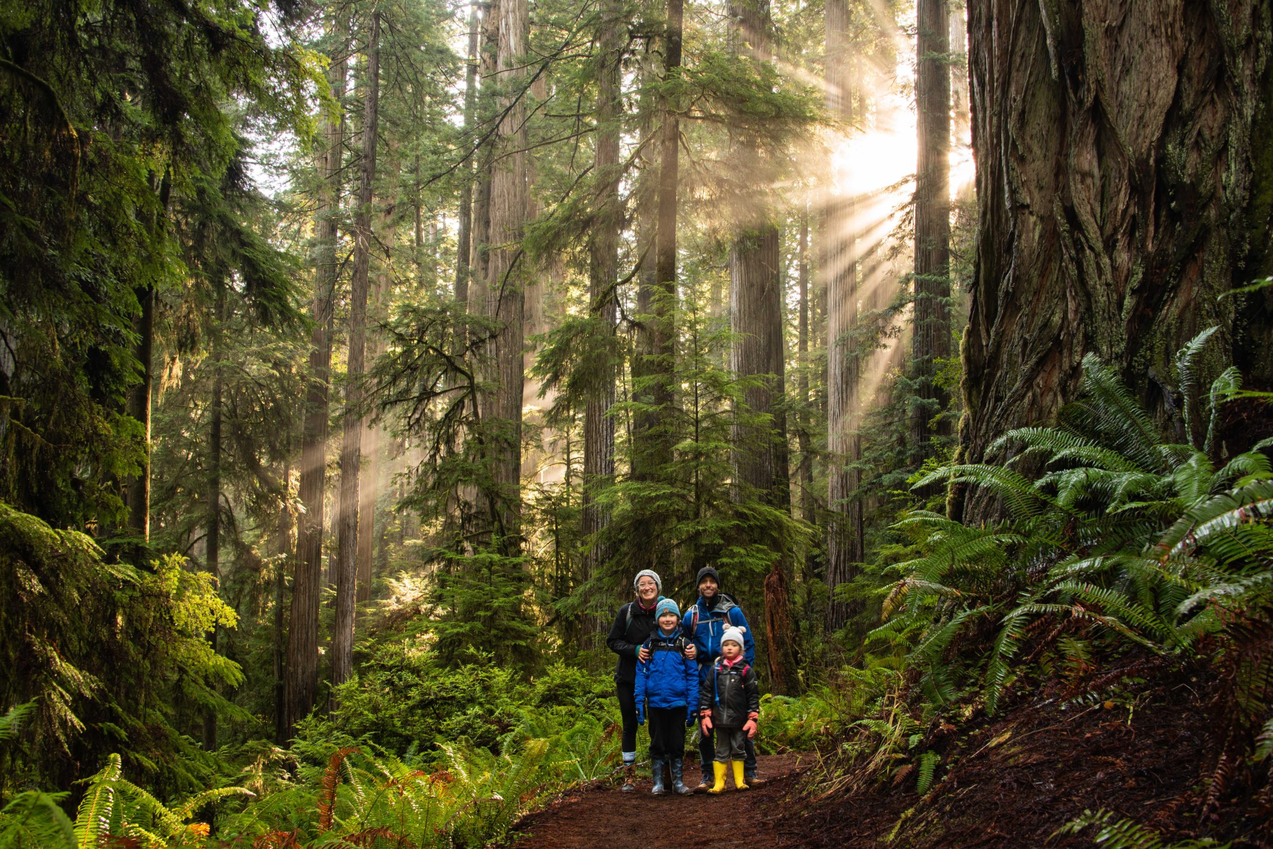 Mist trail best hikes hotsell northern california